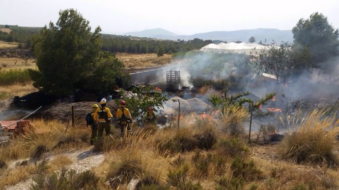 Bomberos trabajando en un incendio forestal en Abarán