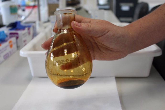 Alperujo, residuo de la extracción de aceite de oliva