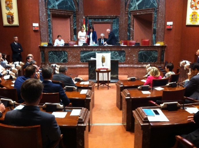 Cámara del Parlamento autonómico, Asamblea Regional