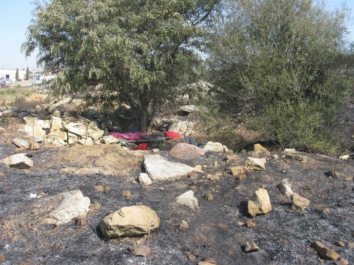 Detenido el presunto autor de un incendio forestal en San Roque