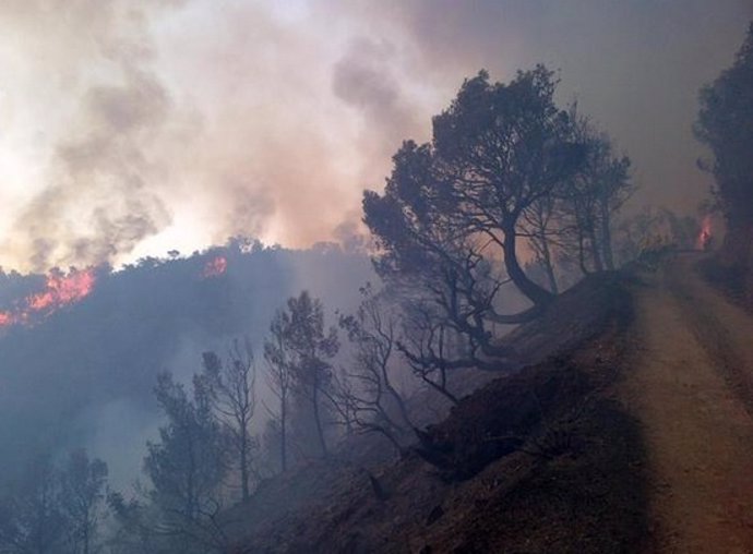 Incendio en Gualchos