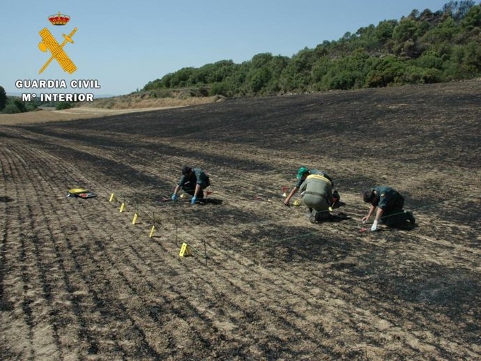 Recogida de muestras en la zona del incendio en Cinco Villas