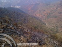 Un cable eléctrico, posible origen del incendio de Gualchos