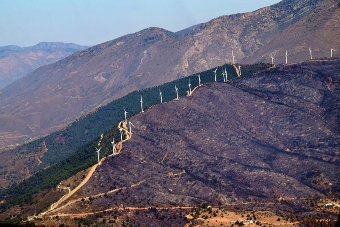 Técnicos De La Consejería De Medio Ambiente Y Ordenación Del Territorio Evalúan 