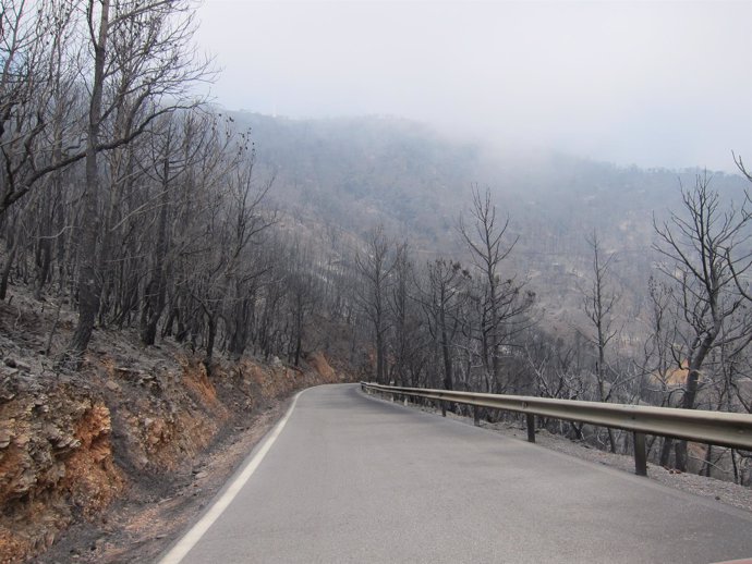Carretera de Motril a Lújar con el paisaje devastado por el incendio.