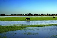 Ampliación de Doñana en más de 10.000 hectáreas antes del 12 de octubre