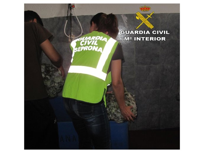 Intervención de la Guardia Civil