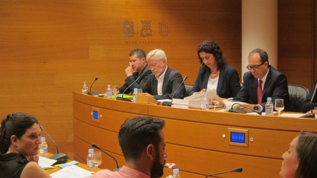 Joan Lerma en las Corts Valencianes