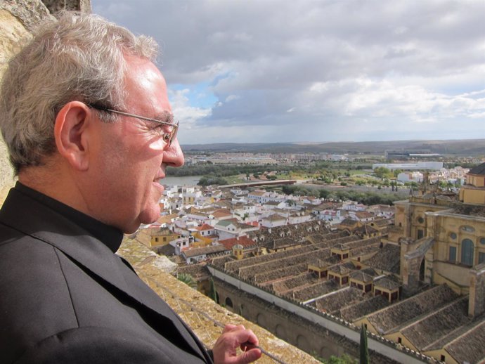 El presidente del Cabildo, Manuel Pérez Moya, observa la Catedral desde su torre