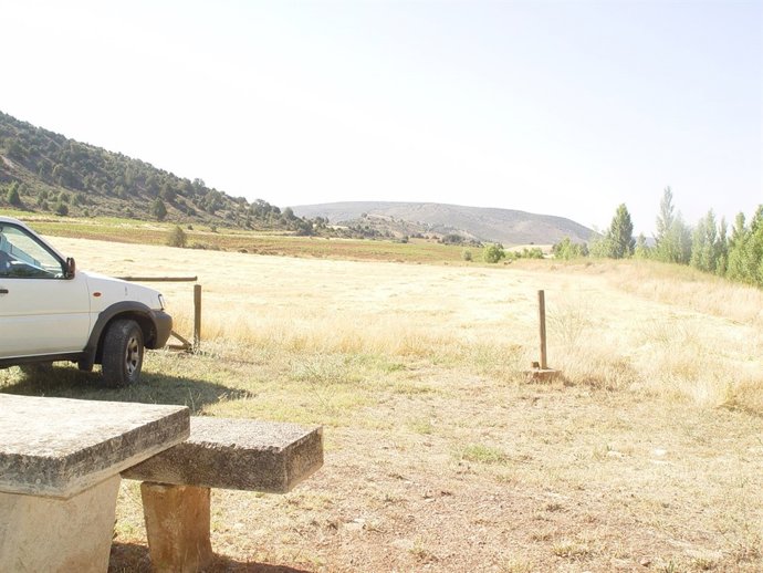 Foto Incendio Guadalajara