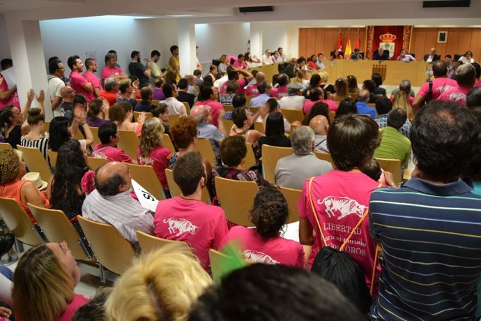 Pleno del Ayuntamiento de San Sebastián de los Reyes