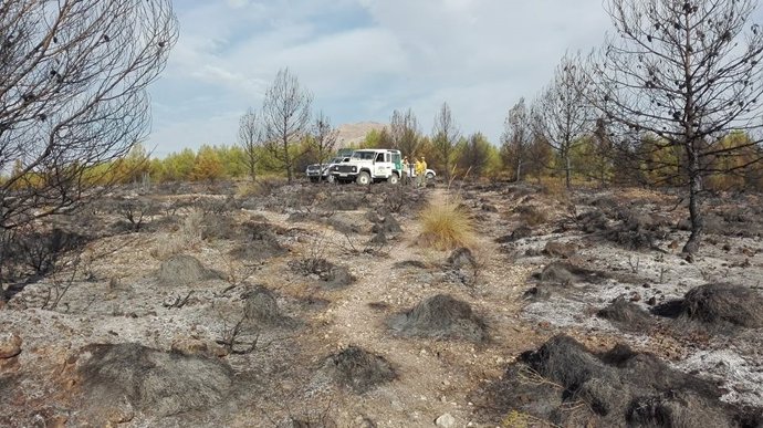 Imagen del terreno afectado por el incendio de Jódar