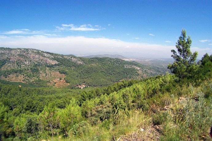 Desert de les Palmes