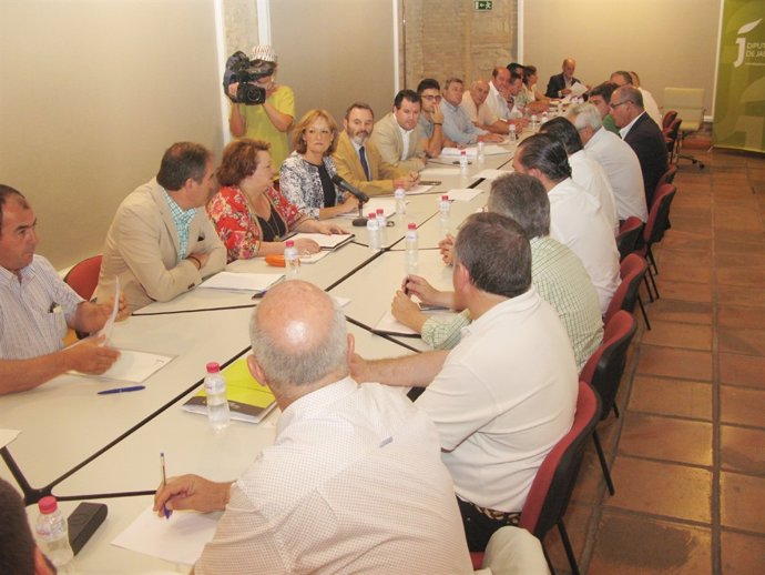 Reunión del Consejo Provincial del Aceite de Oliva