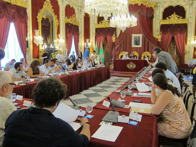 Pleno de organización de la Diputación de Cádiz