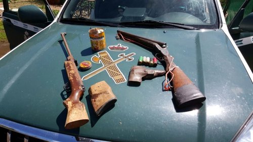 La Guardia Civil imputa a una persona por el envenenamiento de 7 buitres leonado