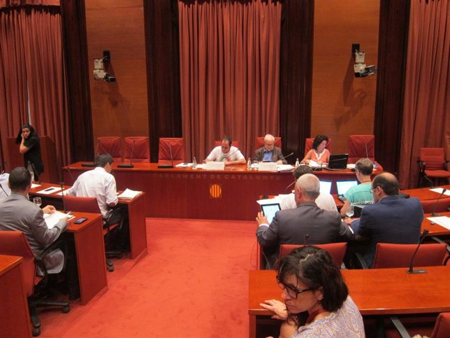 Última sesión de la comisión del Parlament sobre fraude y corrupción 