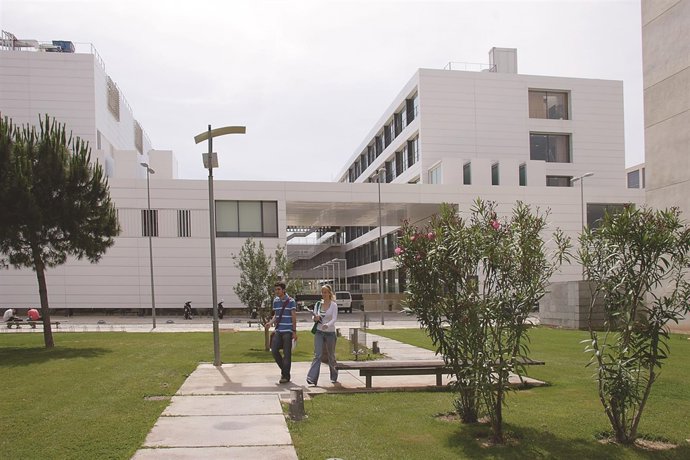 Universitat Politècnica de València