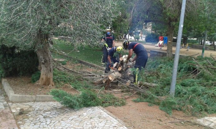 Los bomberos reparan los desperfectos provocados en árboles en Montijo