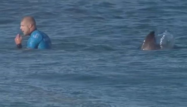Ataque de un tiburón al surfista Mick Fanning