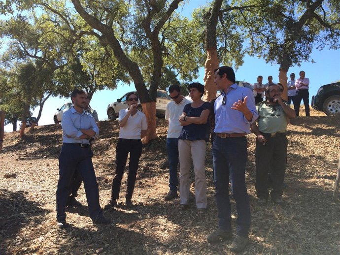 Fiscal visita los trabajos de descorche en Las Navas del Berrocal