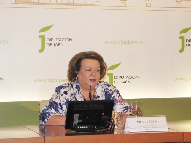 La vicepresidenta de la Diputación, Pilar Parra