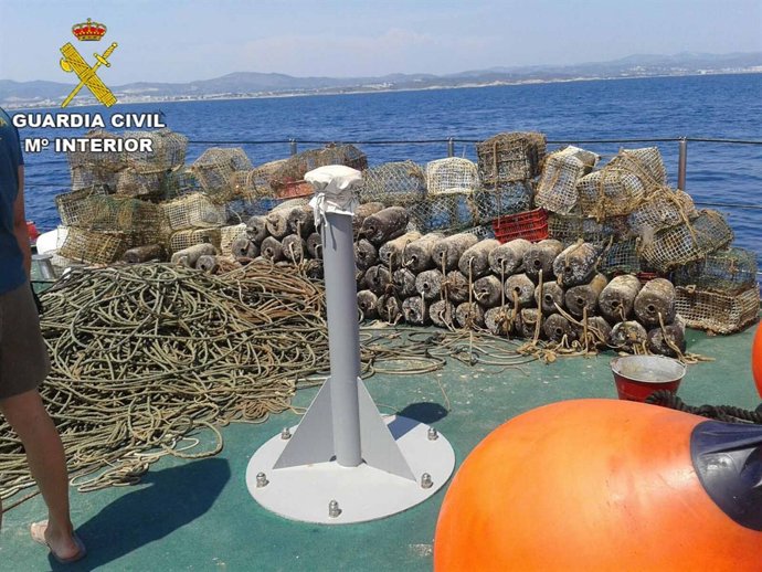 Incautan utensilios para la pesca furtiva de pulpo de roca