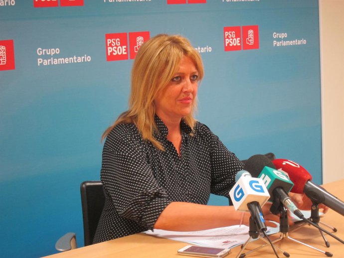 La diputada del PSdeG Beatriz Sestayo