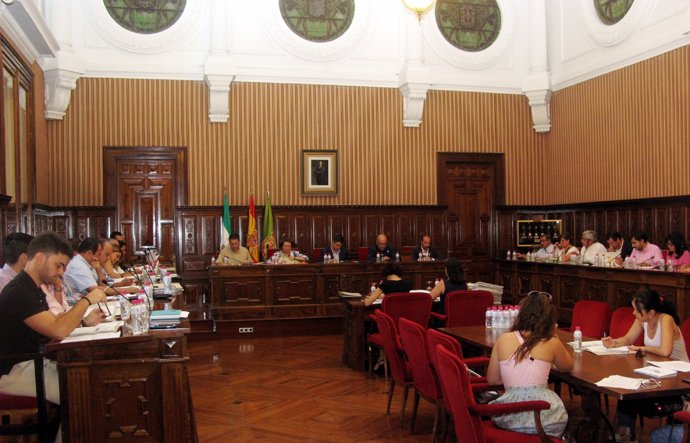 Pleno de la Diputación de Jaén