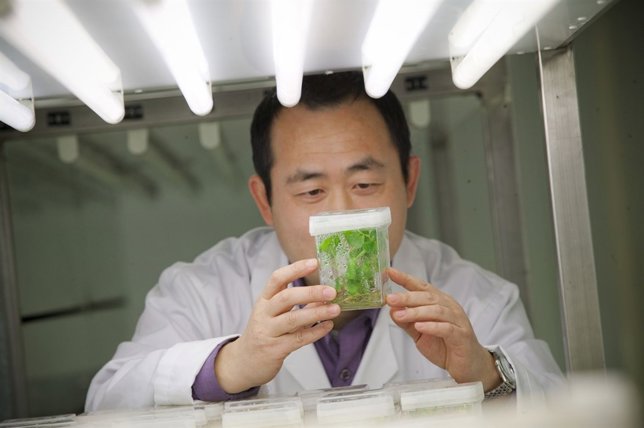 Nvestigador en el Instituto de Agrobiotecnología
