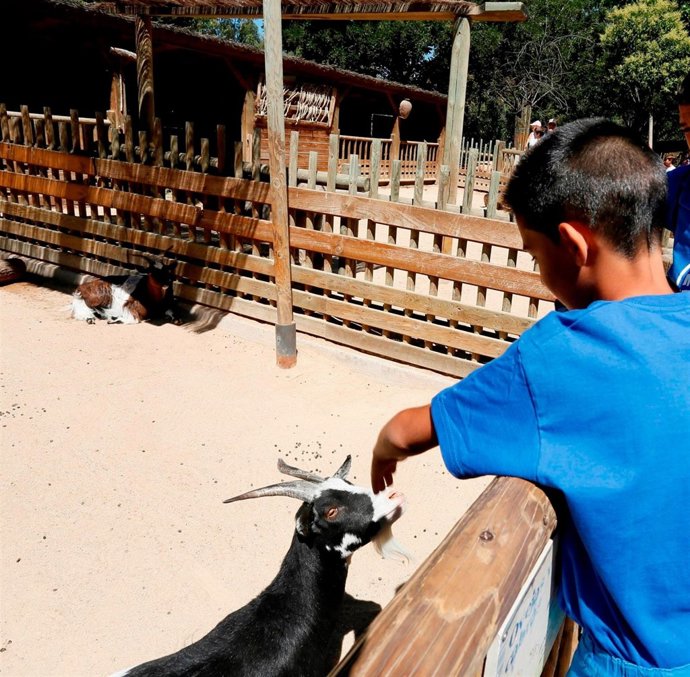 Actividades de ocio de 'la Caixa' para niños en situación de vulnerabilidad