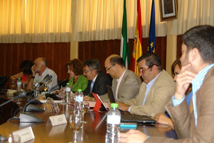 Consejo de Gobierno de la UHU. 