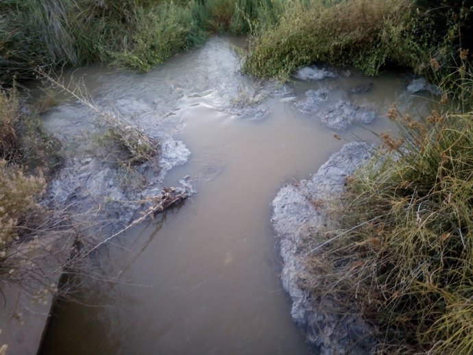 Vertido de aguas fescales denunciado por Ecologistas en Acción