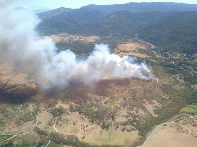 Incendio forestal en Los Barrios (Cádiz)