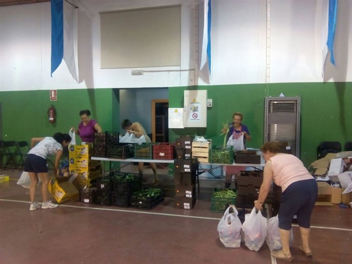 Recogida de alimentos en Vegas del Genil (Granada)