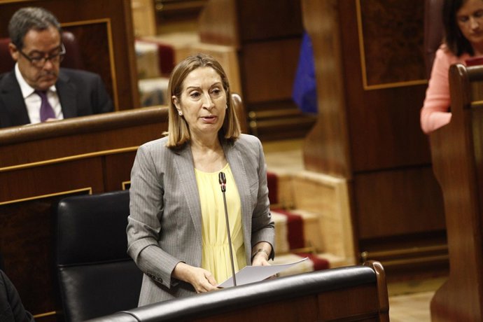 Ana Pastor en el Congreso