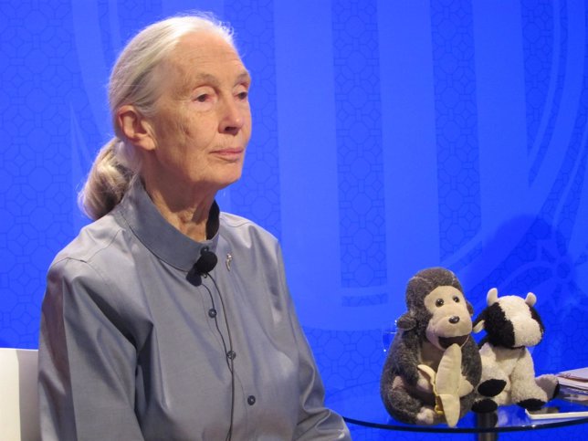 La primatóloga británica Jane Goodall