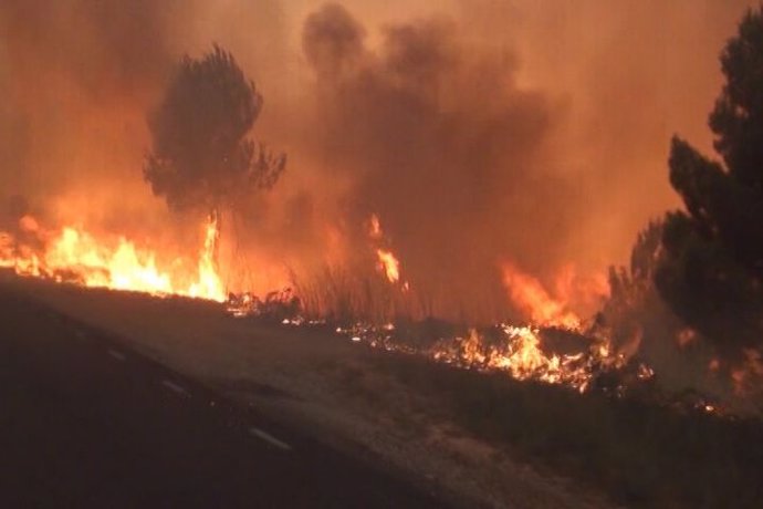 El incendio de Òdena ha quemado 1.000 hectáreas
