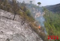 43 vehicles i vuit helicòpters de bombers treballen a l'incendi d'Òdena