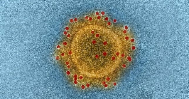 Coronavirus MERS