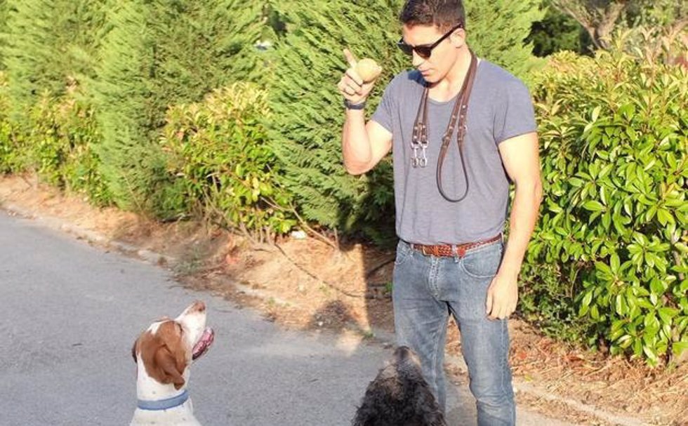 Miguel Ángel Silvestre adiestra a sus perros, Harpo y Chufo