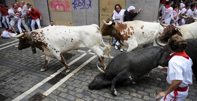 Imagen del quinto encierro de San Fermín 2015