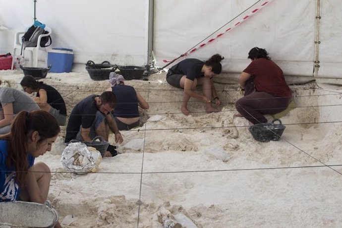 Excavación en el yacimiento de Venta Micena, en Orce