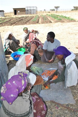 Centro Materno Infantil San José