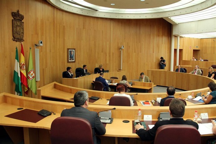 Pleno en la Diputación