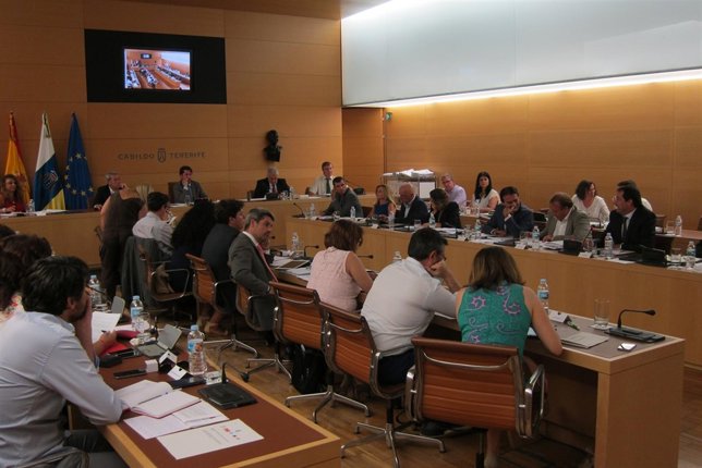 Pleno del Cabildo