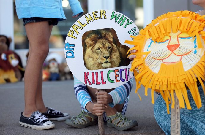Protesta león Cecil