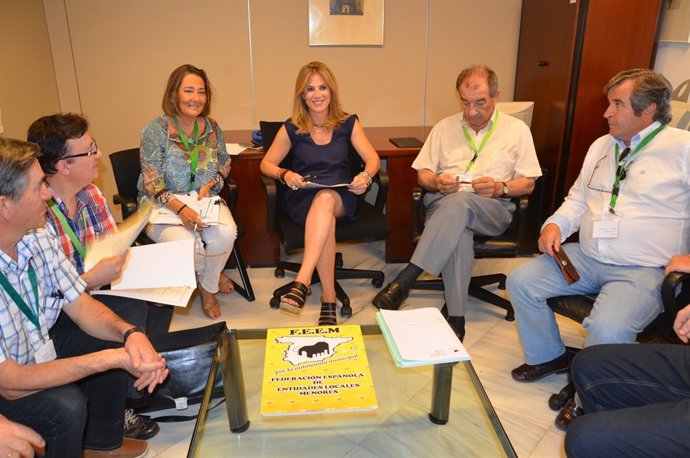 Ana Mestre se reúne con la Federación Andaluza de Entidades Municipales