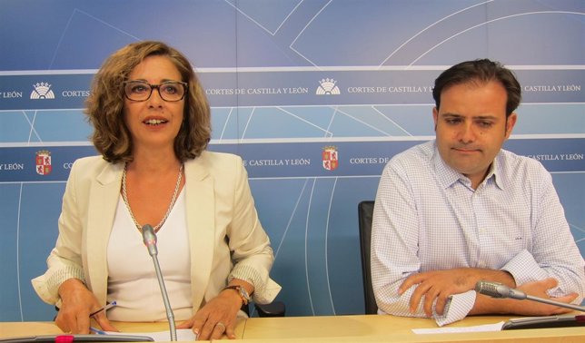 Muñoz de la Peña y Rodríguez presentan sus medidas en vivienda