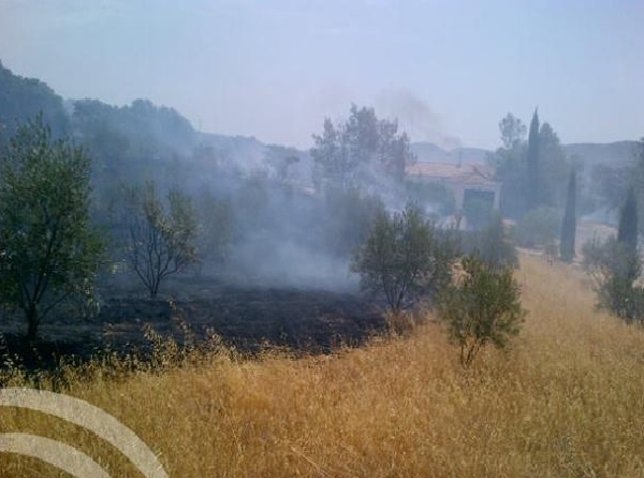 Incendio en una dehesa de Belmez